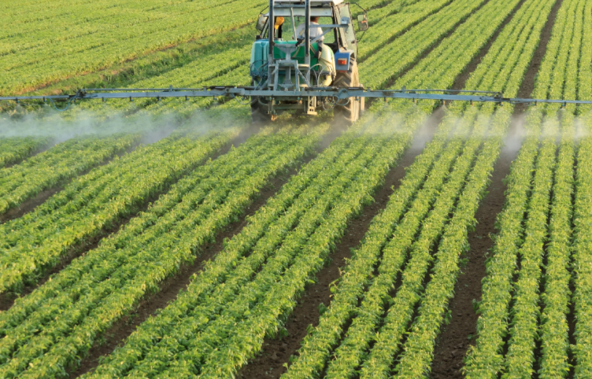 Pesticiden in de voeding: 8 vragen en antwoorden