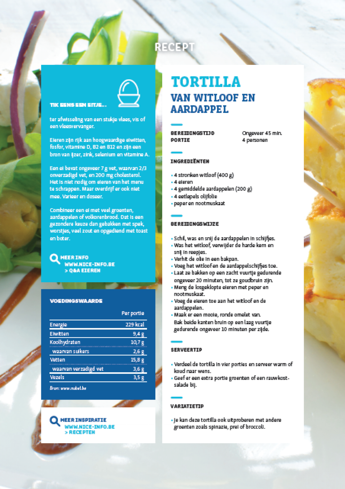 RECEPTFICHE - Tortilla van witloof